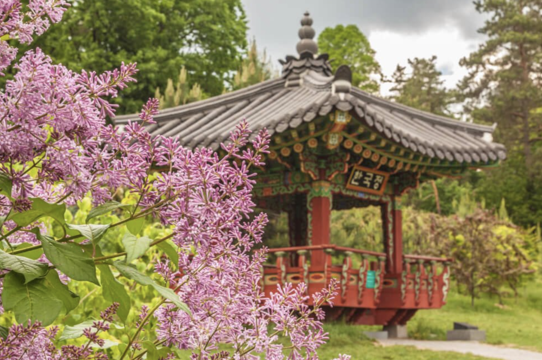 Национальный ботанический сад имени Н. Н. Гришко