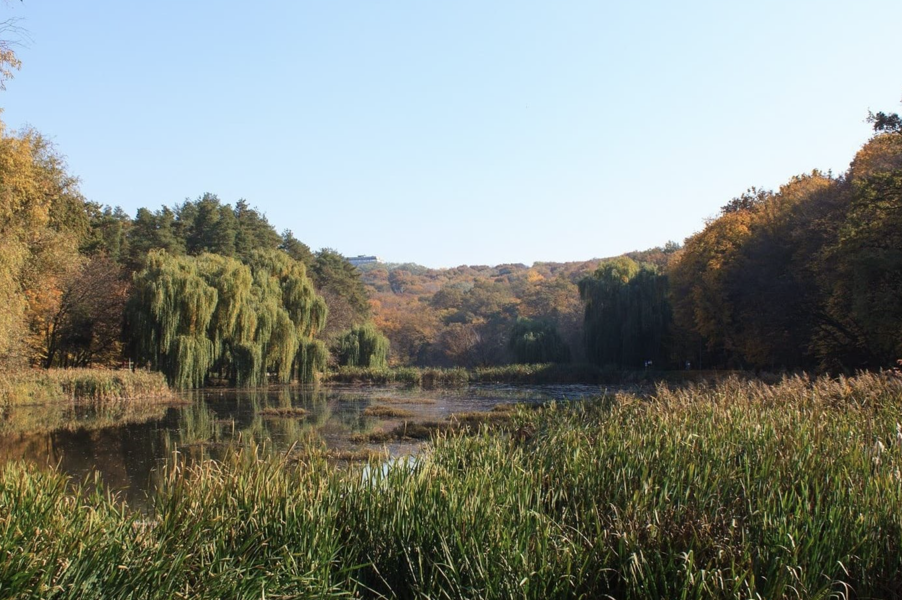 Голосеевский парк имени Максима Рыльского