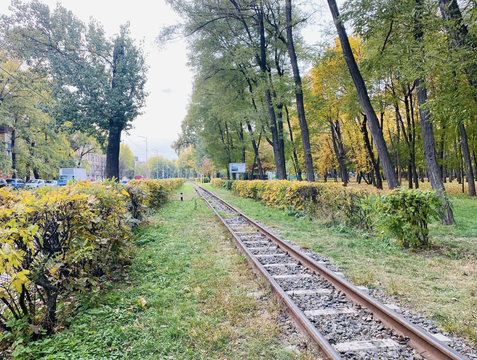 Сырецкий парк