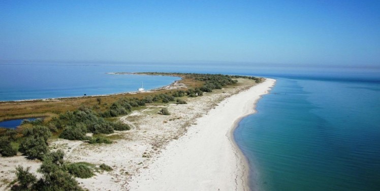 Кінбурнська коса