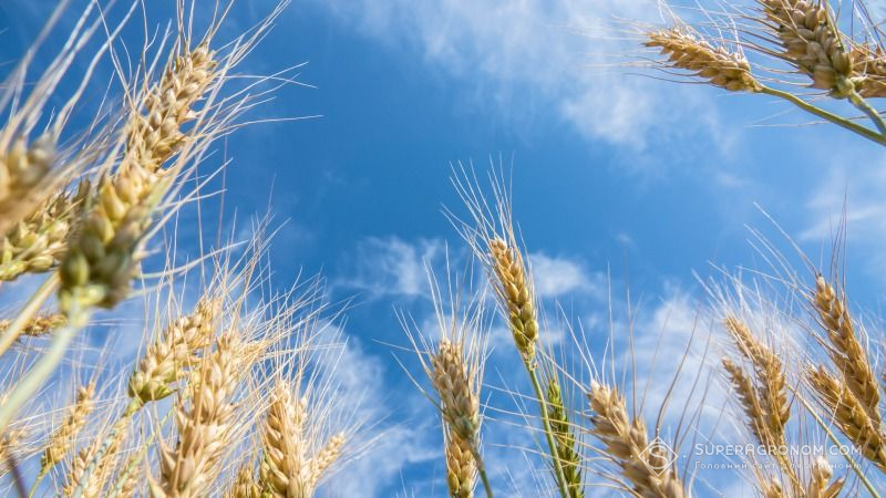 Оптимізуйте структуру посівних площ