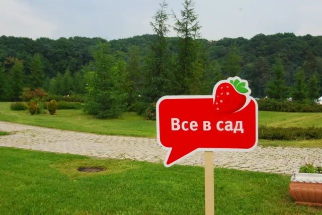 У столичному парку Феофанія відбулось «Свято першої полуниці» (Фоторепортаж) — фото 9