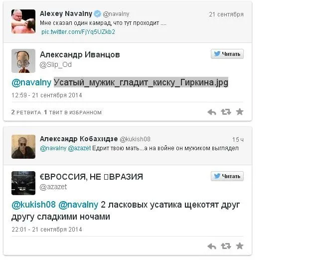 У соцмережах сміються з Гіркіна: терорист вдягнув капці і вхопив кота (Фото) — фото 3